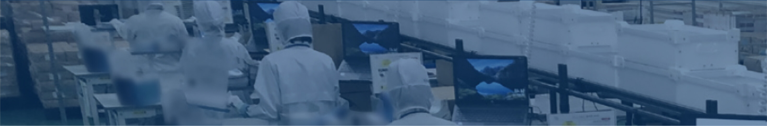 ダイレクトマーケティングソリューション